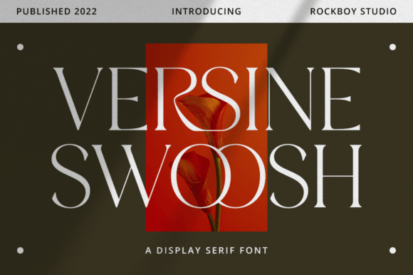 Versine Swoosh Serif Display Font for Business Branding